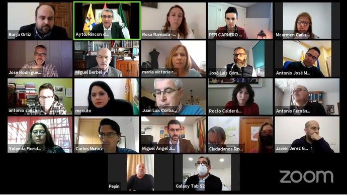 Pleno telemático del Ayuntamiento de Rincón de la Victoria