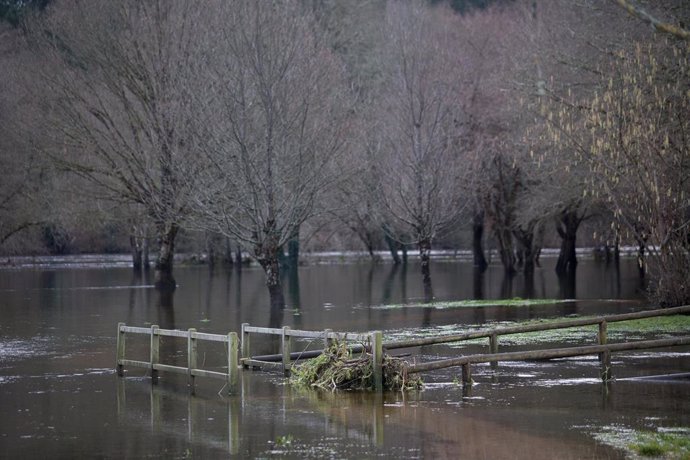 Aguas desbordadas en el Parque del Río Miño en Lugo, Galicia, (España), a 27 de enero de 2021