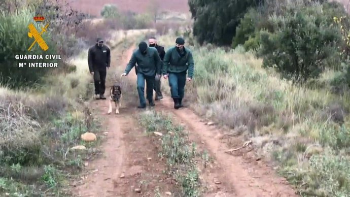 Vídeo de la noticia