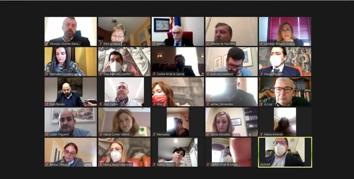 Pleno telemático Diputación Ciudad Real