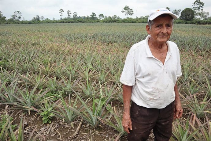 Proyecto de irrigación apoyado por AECID en Ecuador