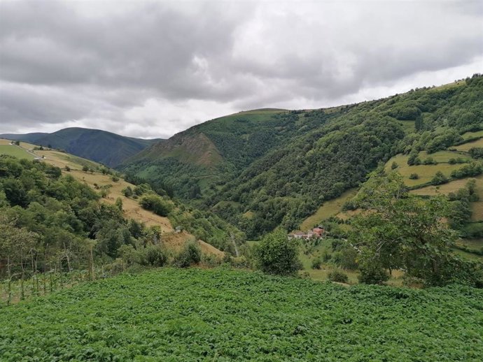 Zona rural de Cangas del Narcea.