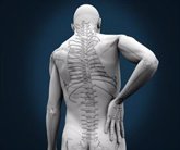 Foto: Desarrollan un tratamiento que podría mejorar la vida de los pacientes con una lesión de la médula espinal