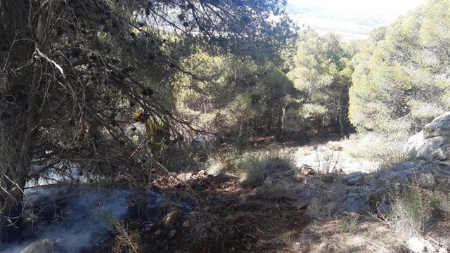Incendio forestal en el paraje de Castala de Sierra de Gádor, en Berja (Almería)