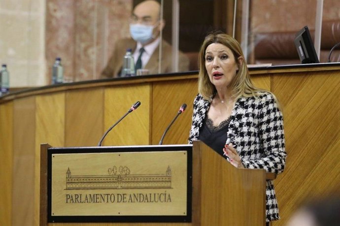 La parlamentaria de Ciudadanos (Cs), Concha Insúa.