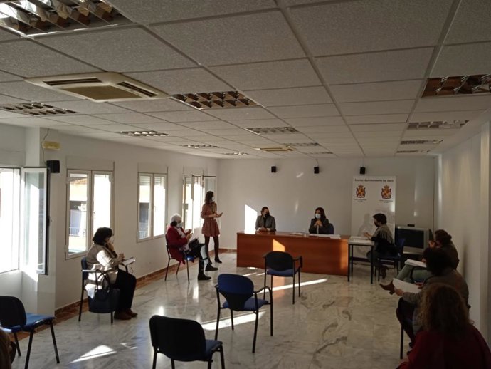 Consejo Local de Igualdad de Jaén.