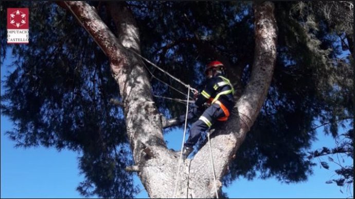 Bombero interviene por el viento en la provincia de Castellón