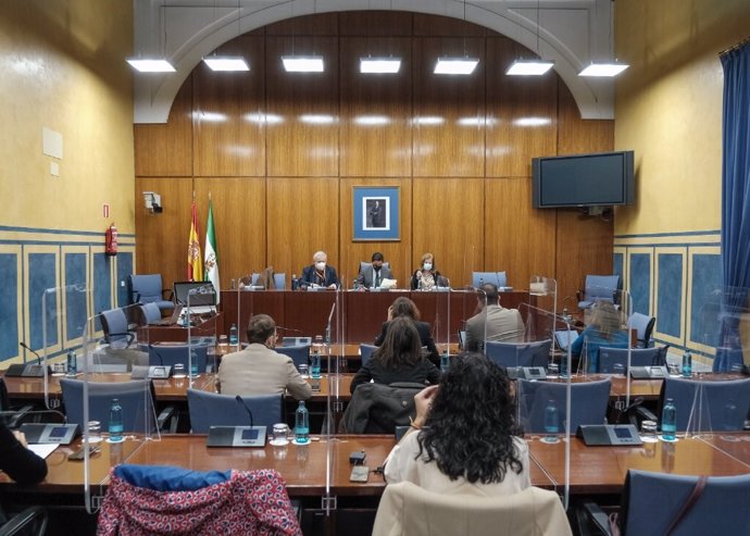 Foto de archivo de una sesión de la comisión de investigación sobre la Faffe creada en el Parlamento andaluz.