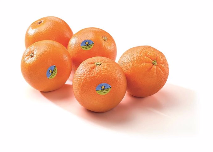 Naranjas y mandarinas de Carrefour