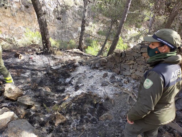 La brigada de investigación de incendios forestales (BIIF) del Infoca investigan el origen del incendio en Castala, en Berja (Almería)