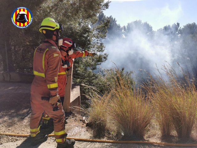 Bomberos trabajan en el incendio declarado en Alfarp (Valencia)