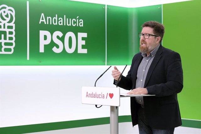 El portavoz adjunto del Grupo Socialista en el Parlamento andaluz, Rodrigo Sánchez Haro, en una comparecencia telemática.