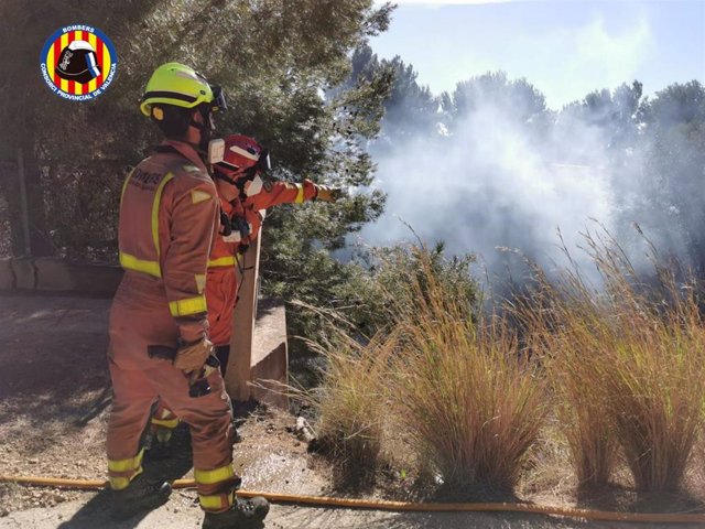 Bomberos trabajan en el incendio en Alfarp (Valencia)