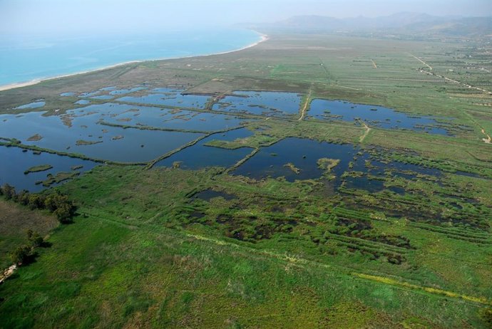 Dia Mundial Aiguamolls: La Universitat De Valncia Investiga El Paper Dels Aiguamolls Per Ajudar A Assolir La Neutralitat Climtica En 2050