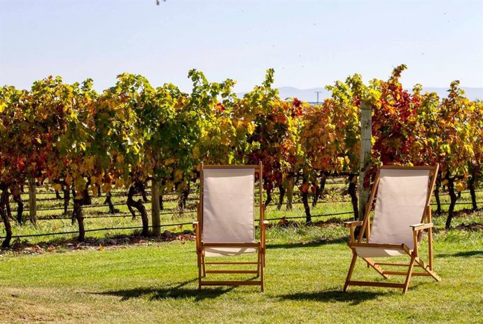 Viñedos de La Rioja