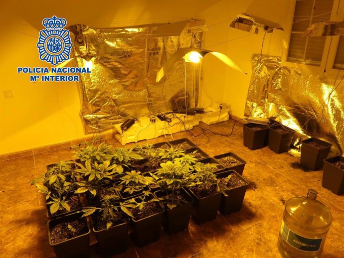 Imagen de la casa de los estafadores detenidos en Cobisa.