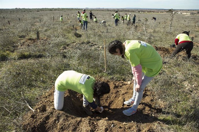 Recuperación de Las Tablas de Daimiel.