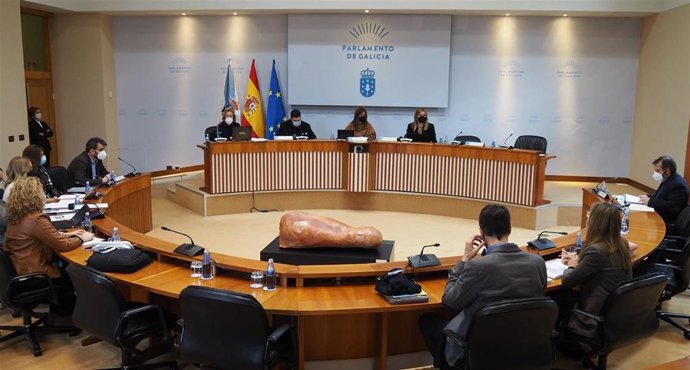 Sesión de la Comisión 2, de Ordenación Territorial, Obras Publicas, Medio Ambiente e Servizos del Parlamento gallego.