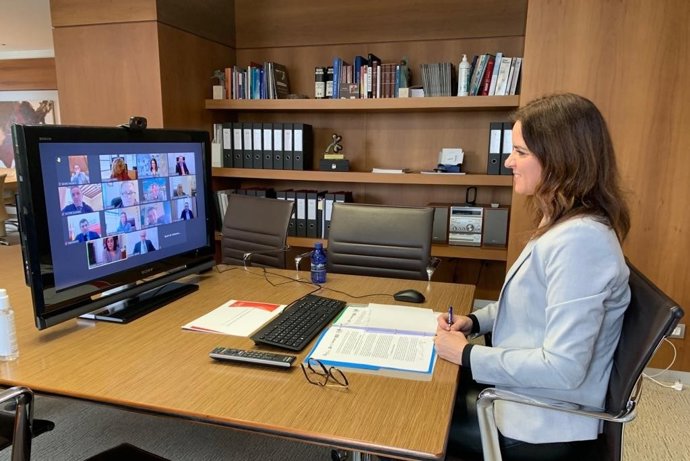 Ana Carlota Amigo preside la reunión de forma telemática.