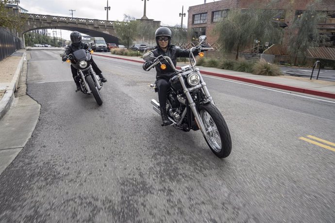 Imagen de dos motos de Harley-Davidson.