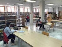 Andalucía prorroga las ayudas para dotación de bibliotecas y para el sector audiovisual, artes escénicas y flamenco