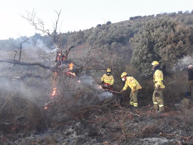 Incendio forestal en Lanjarón