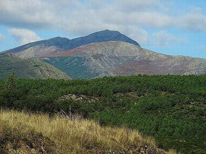 SIERRA DEL NORTE DE GUADALAJARA