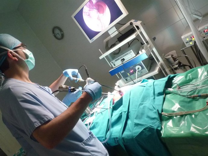 Curso de cirugía organizado por  el IACS