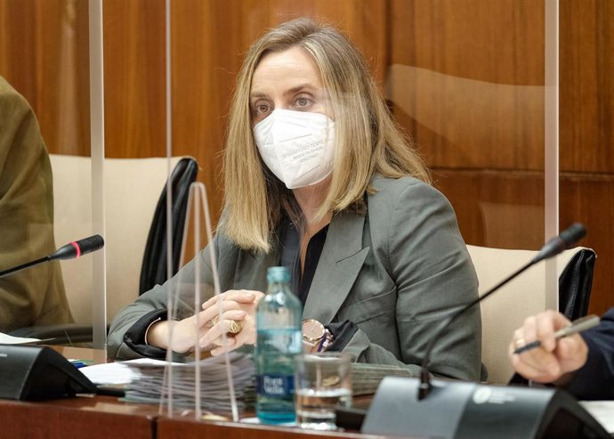 Junta destaca que "mejora" con su plan de choque más de 1.200 kilómetros de carreteras autonómicas