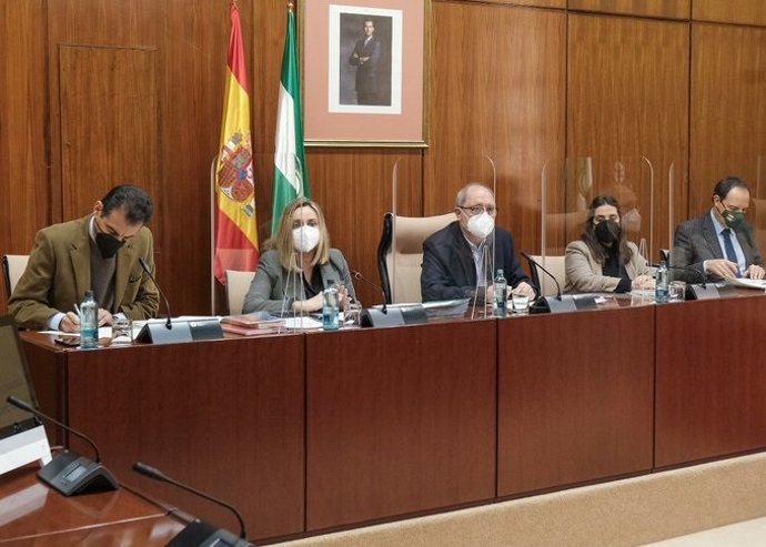 La consejera de Fomento, Infraestructuras y Ordenación del Territorio, Marifrán Carazo, en comisión parlamentaria