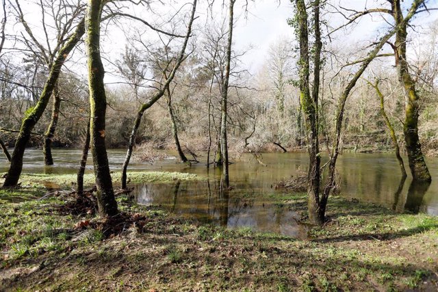 El río Tea desbordado tras las últimas lluvias a su paso por la zona del paseo de A Moscadeira en Ponteareas, Pontevedra, Galicia (España), a 3 de febrero de 2021