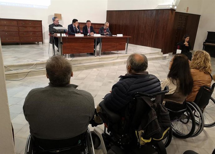 Comisión municipal de accesibilidad universal de Sevilla