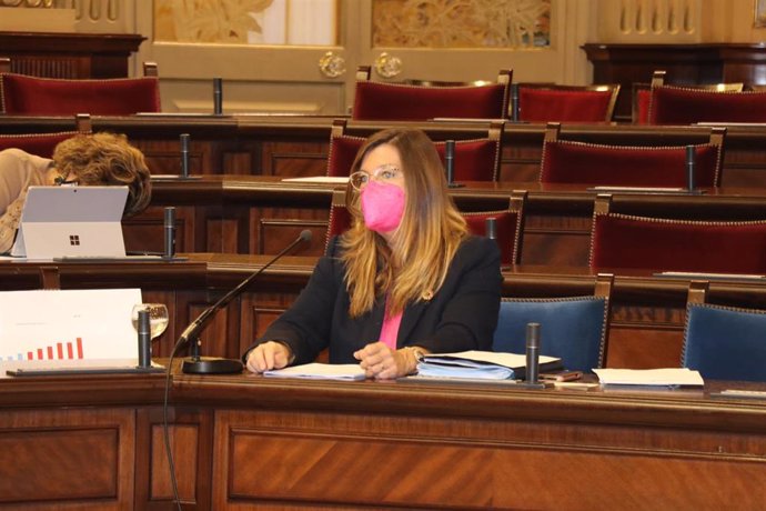 La consellera de Salud y Consumo, Patricia Gómez, en su comparecencia en el Parlament.