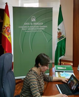 La delegada territorial de Agricultura, Ganadería y Pesca en Jaén, Soledad Aranda.