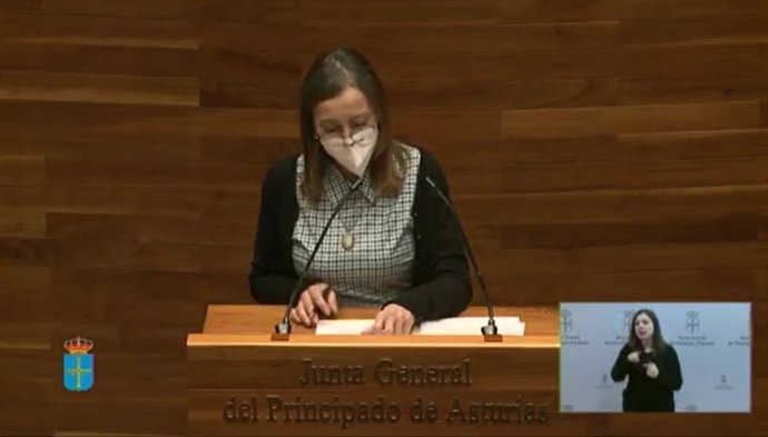 La portavoz de IU en la Junta General, Ángela Vallina, en el pleno monográfico sobre la industria asturiana.