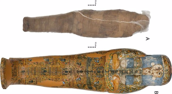 Individuo momificado y ataúd en la Colección Nicholson del Museo Chau Chak Wing, Universidad de Sydney.