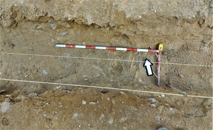 Restos óseos hallados en Fuentes de Andalucía