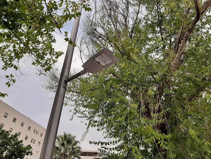 Tareas de renovación del alumbrado de Son Cotoner.