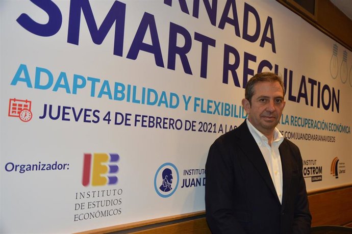 El presidente del IEE, Íñigo Fernández de Mesa