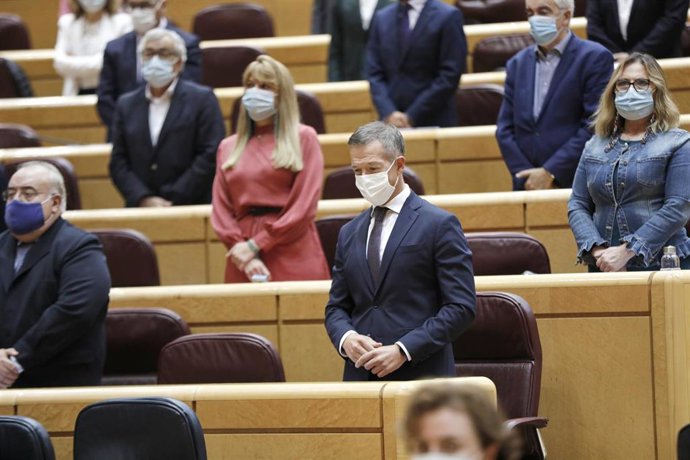El portavoz del Grupo Socialista en el Senado, Ander Gil (c), guarda un minuto de silencio al inicio de una sesión de control al Gobierno en el Senado, a 20 de octubre de 2020. En el pleno de hoy el Ejecutivo será preguntado, entre otras, por cuestiones