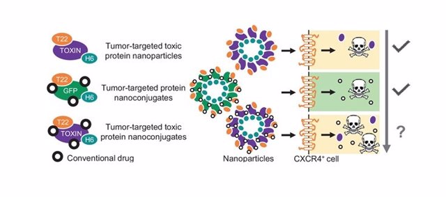 Nanopartículas citotóxicas dirigidas a tumores