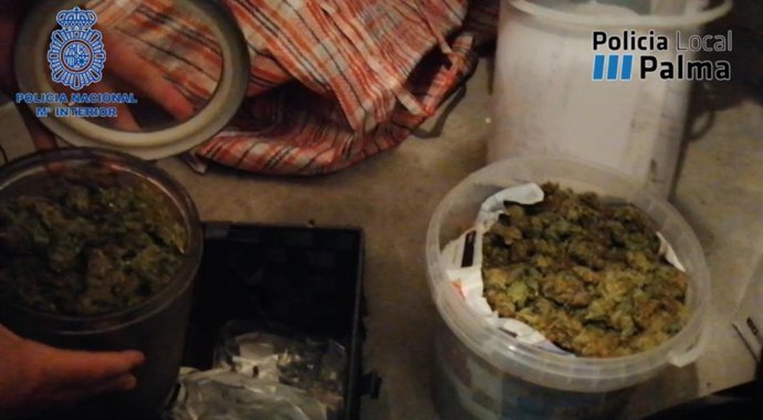 Marihuana hallada en el punto de venta de droga de Palma.