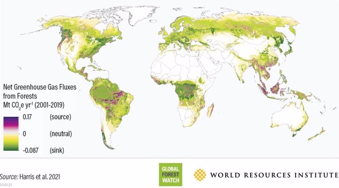 Relación de sumidero/emisor de carbono entre los bosques a escala global