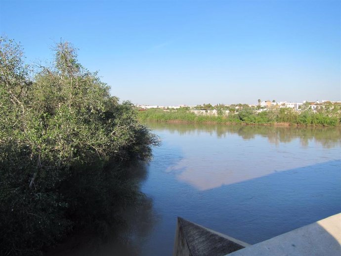 El río Guadalquivir a su paso por Córdoba, en una imagen de archivo.
