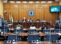 El exsecretario general técnico de Empleo Javier Aguado se acoge a su derecho a no declarar en la comisión de la Faffe