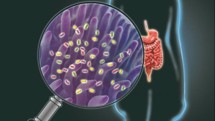 Una ilustración de la forma no invasiva de identificar las principales funciones del tracto gastrointestinal.