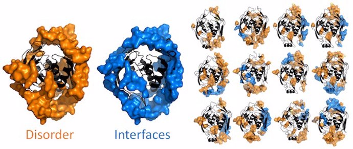 Proteína p53 del Protein Data Bank interaccionando con diversas proteínas y/o ADN formando estructuras diversas