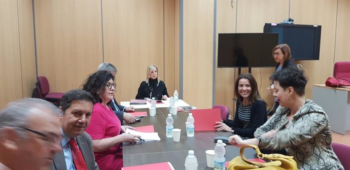 La fiscal Superior de Andalucía, Ana Tárrago, en la reunión de Algeciras con los fiscales Antidroga de Andalucía.