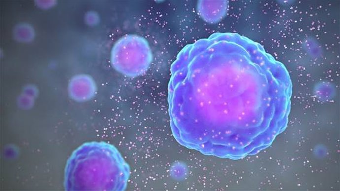 Las células inmunitarias liberan proteínas llamadas citoquinas que alertan al resto del sistema inmunitario de la presencia de un virus. /