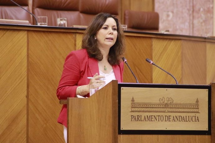 La parlamentaria andaluza de Vox Ángelas Mulas
